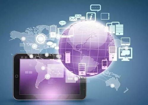 網營中國 互聯網時代的顛覆式營銷與精準軟件開發